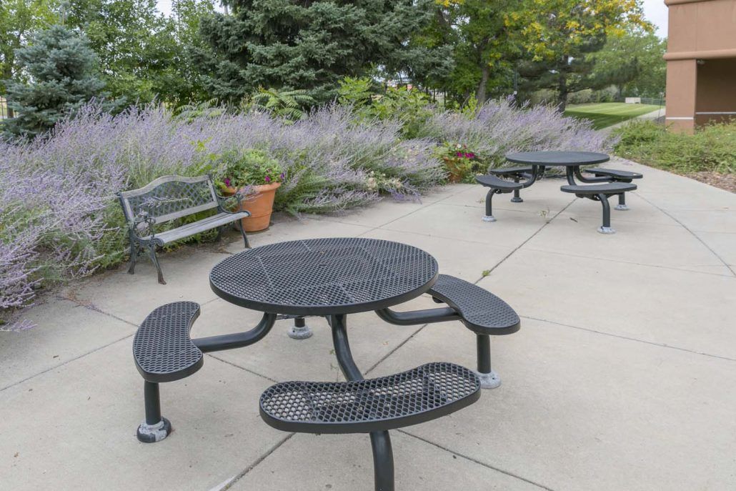 Outdoor park area with picnic tables and benches surrounded by plants.