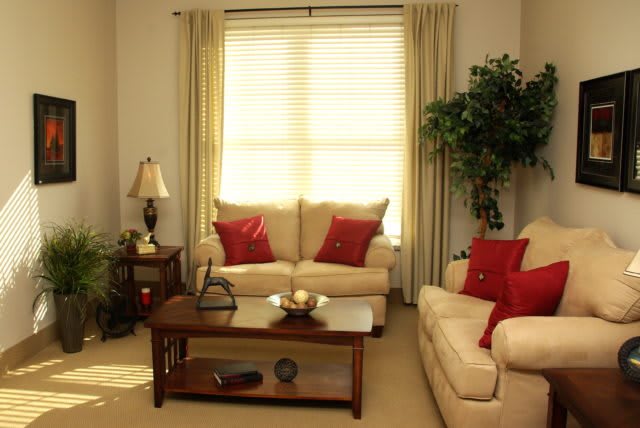 A cozy living room with comfortable sofas, a coffee table, and decorative accents.
