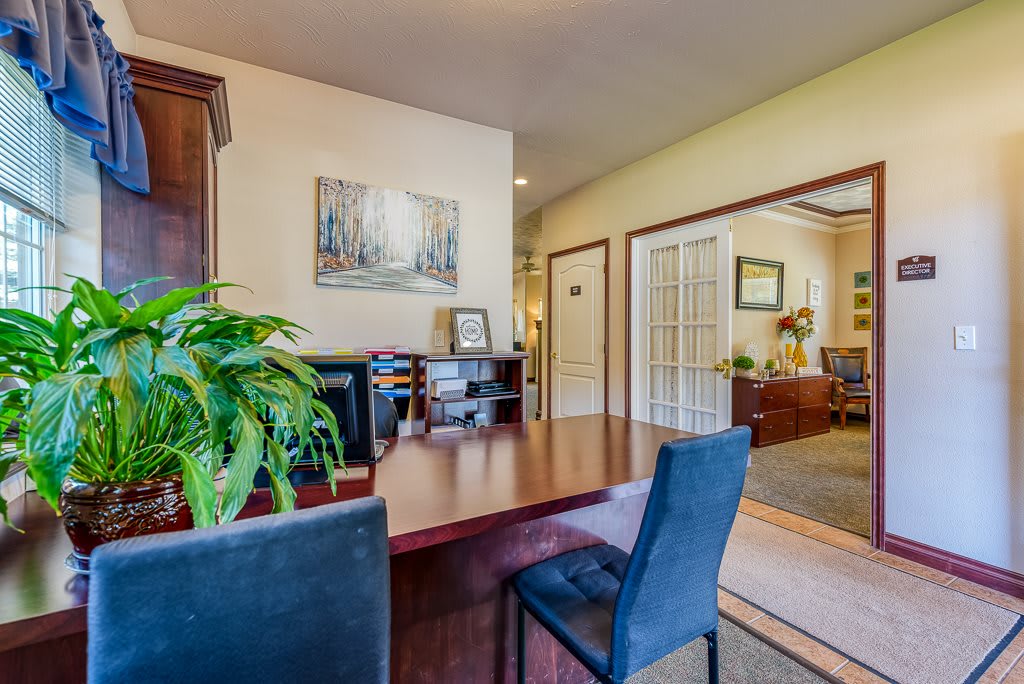 A modern office interior featuring a wooden desk, chairs, and decorative plants.
