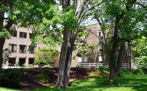 A serene residential area showcasing lush greenery and a brick building.