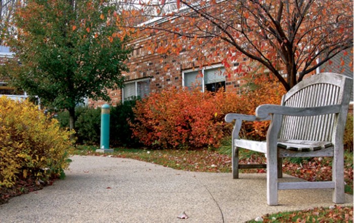 A serene pathway lined with autumn foliage and a wooden bench.