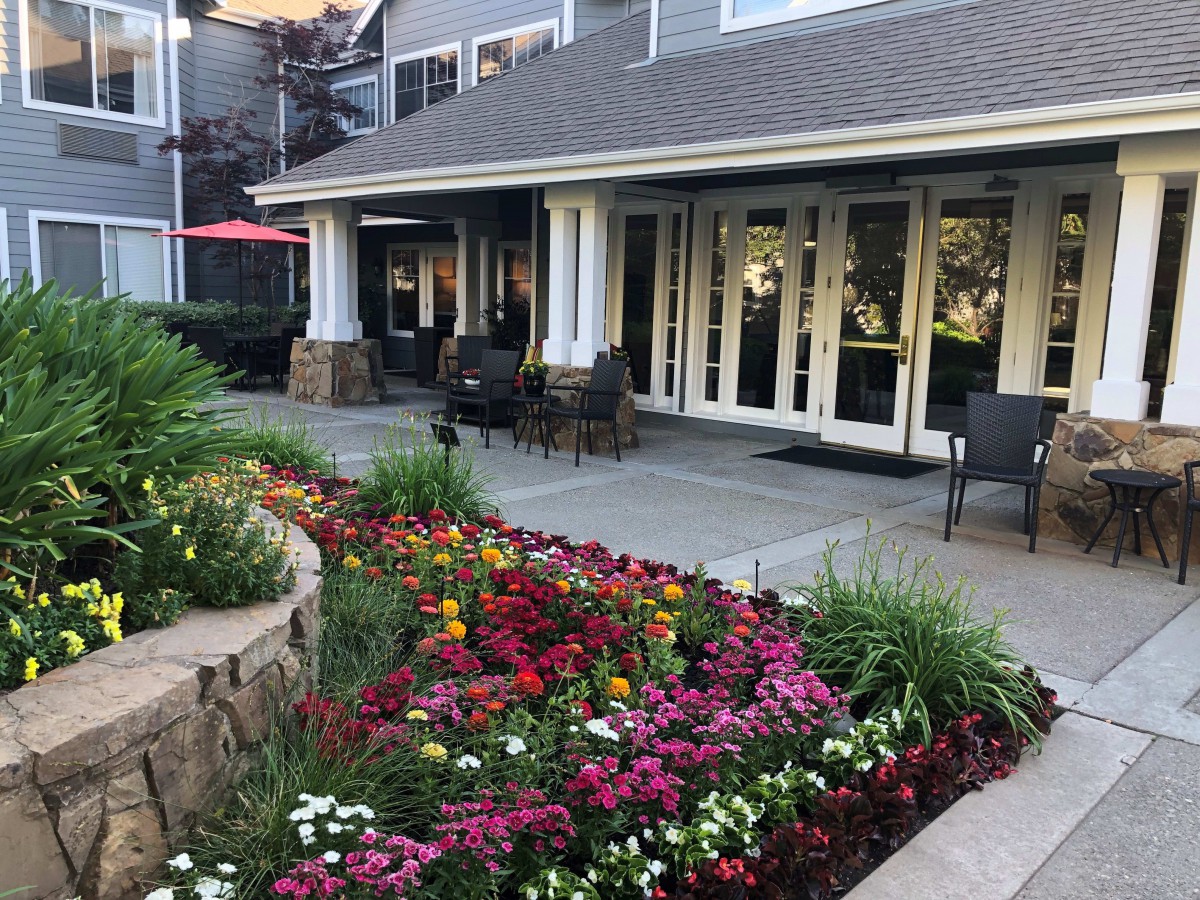 A beautifully landscaped garden with vibrant flowers in front of a modern building patio.