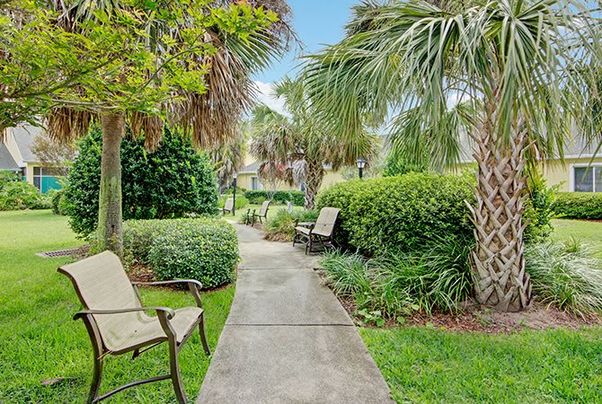 A serene garden pathway lined with chairs and surrounded by lush palm trees.