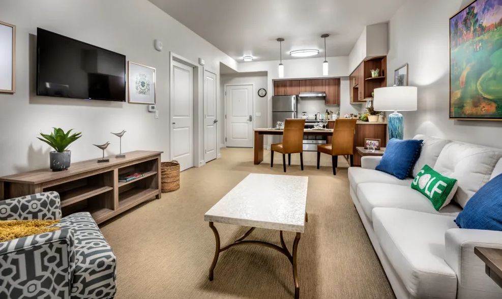 Modern apartment with a cozy living room and open kitchen layout.