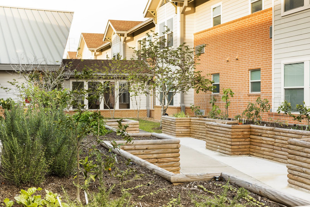 A beautifully landscaped garden with raised planter beds beside a modern residential building.