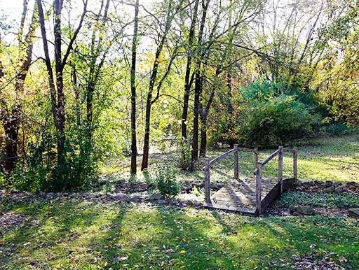 A serene view of a park with lush trees and a charming wooden bridge.