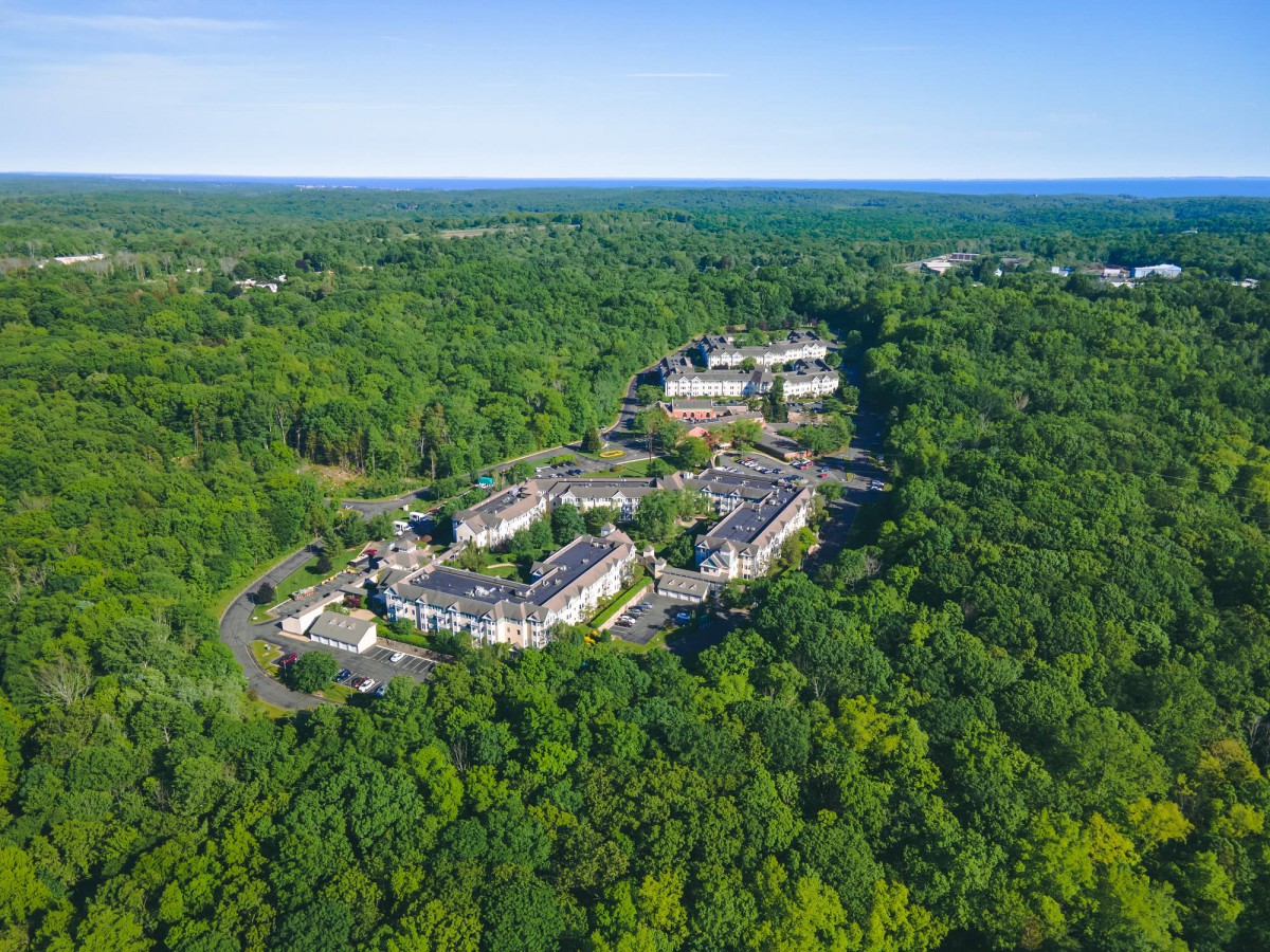 Aerial view of buildings nestled within a lush forest landscape.