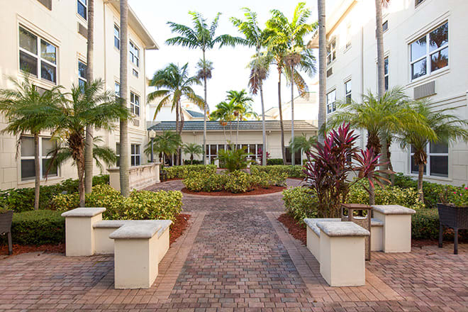 A beautifully landscaped courtyard with palm trees and a brick walkway.