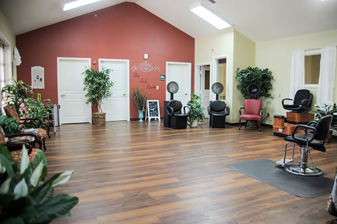 A spacious salon interior with chairs and hair dryers, featuring wooden floors and decorative plants.