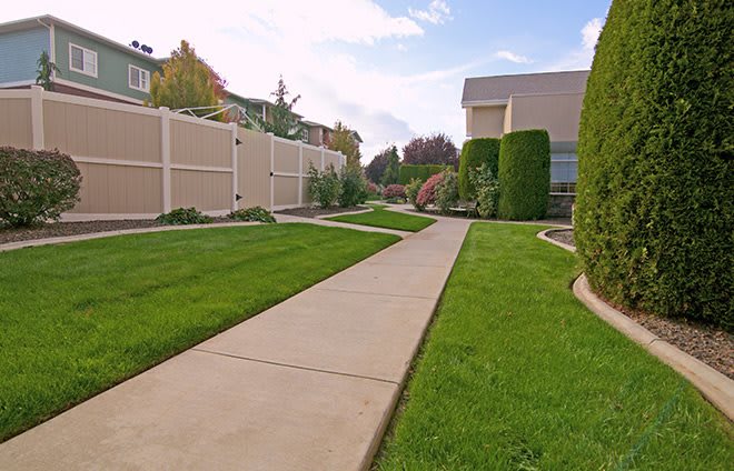 A well-maintained sidewalk running through a residential area, bordered by lush green lawns and a tall fence.