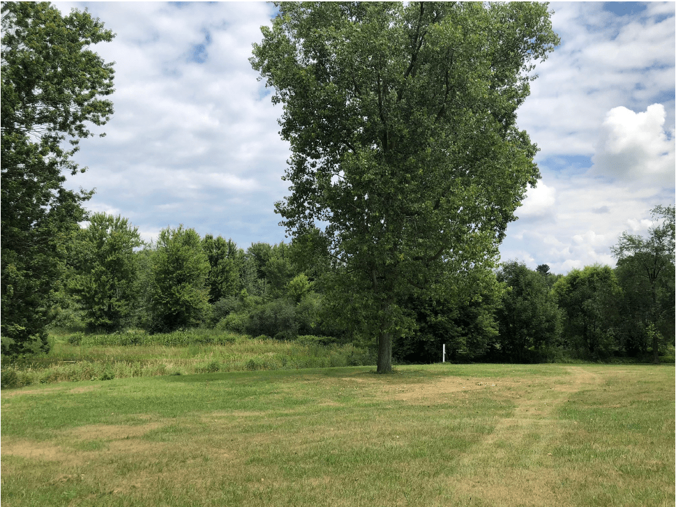 A peaceful landscape with a large tree and grassy field under a partly cloudy sky.
