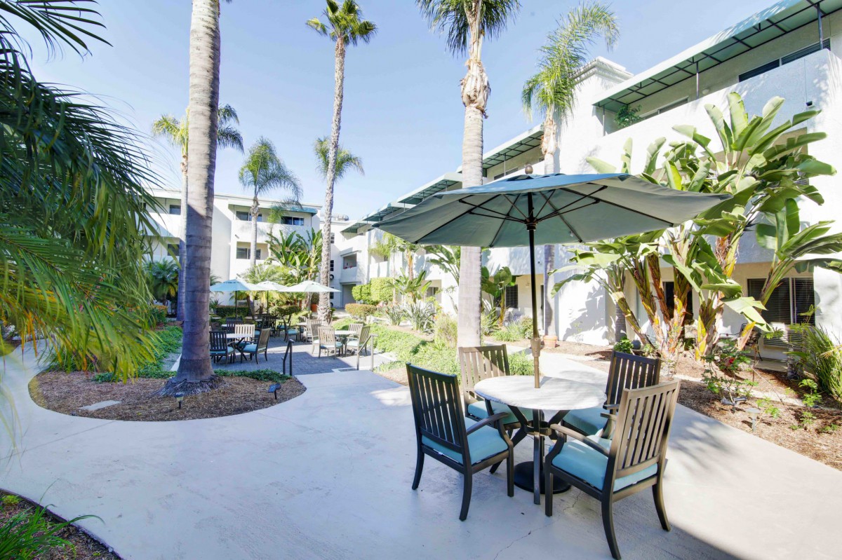 A sunny patio with outdoor seating and an umbrella surrounded by palm trees.