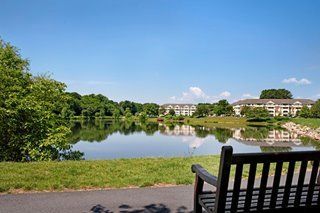 A peaceful view of a lake with a bench overlooking the water, surrounded by trees and buildings under a clear blue sky.