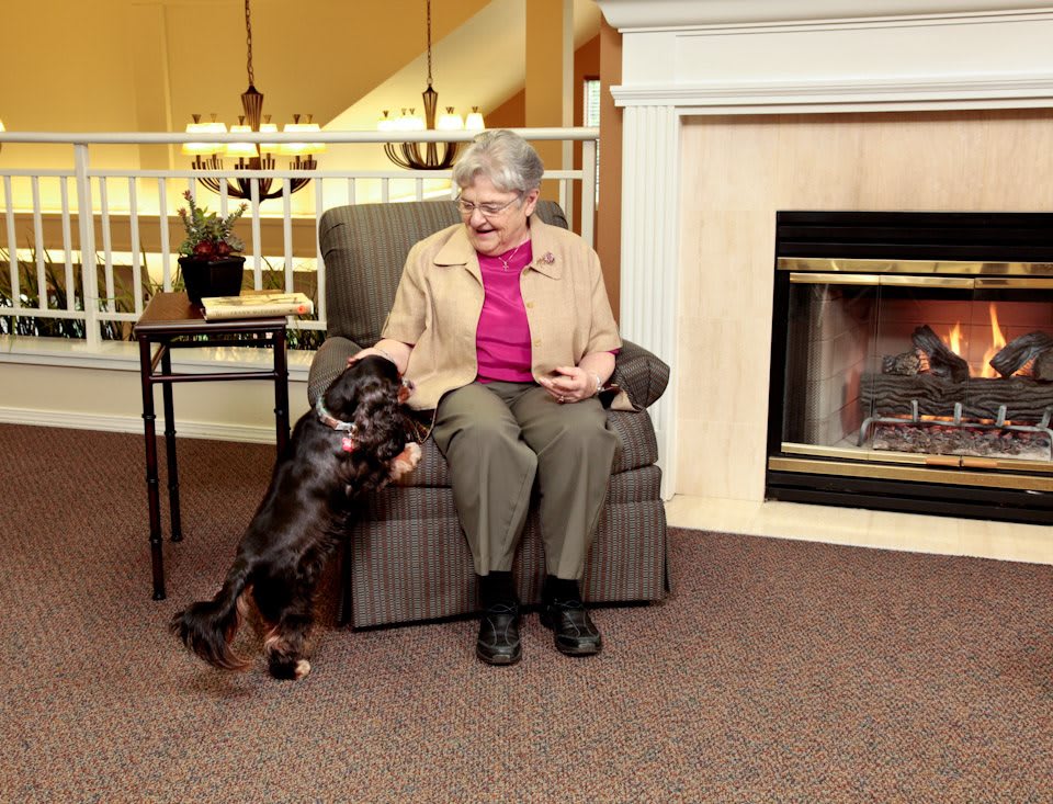 An elderly woman sits in a cozy living room, interacting with her dog near the fireplace.