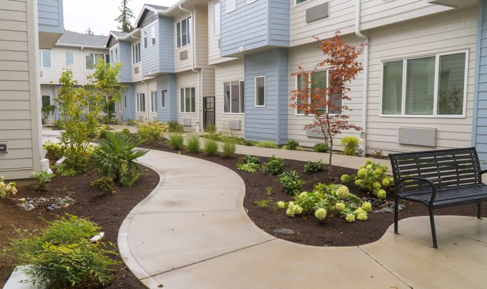 A row of modern townhouses with well-maintained landscaping and a curved pathway.