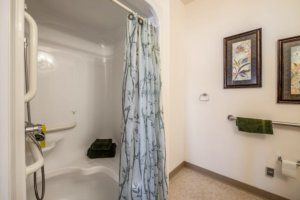 A bathroom with a shower and decorative elements.