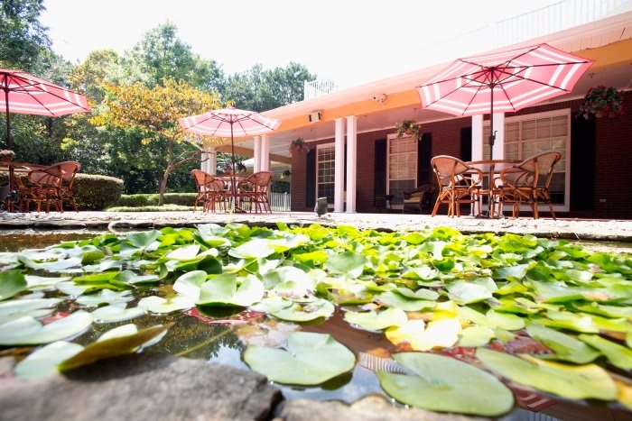 A tranquil patio with outdoor seating and a pond filled with lilypads.