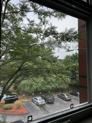 A serene view from the window showcasing lush greenery and parked cars on a cloudy day.