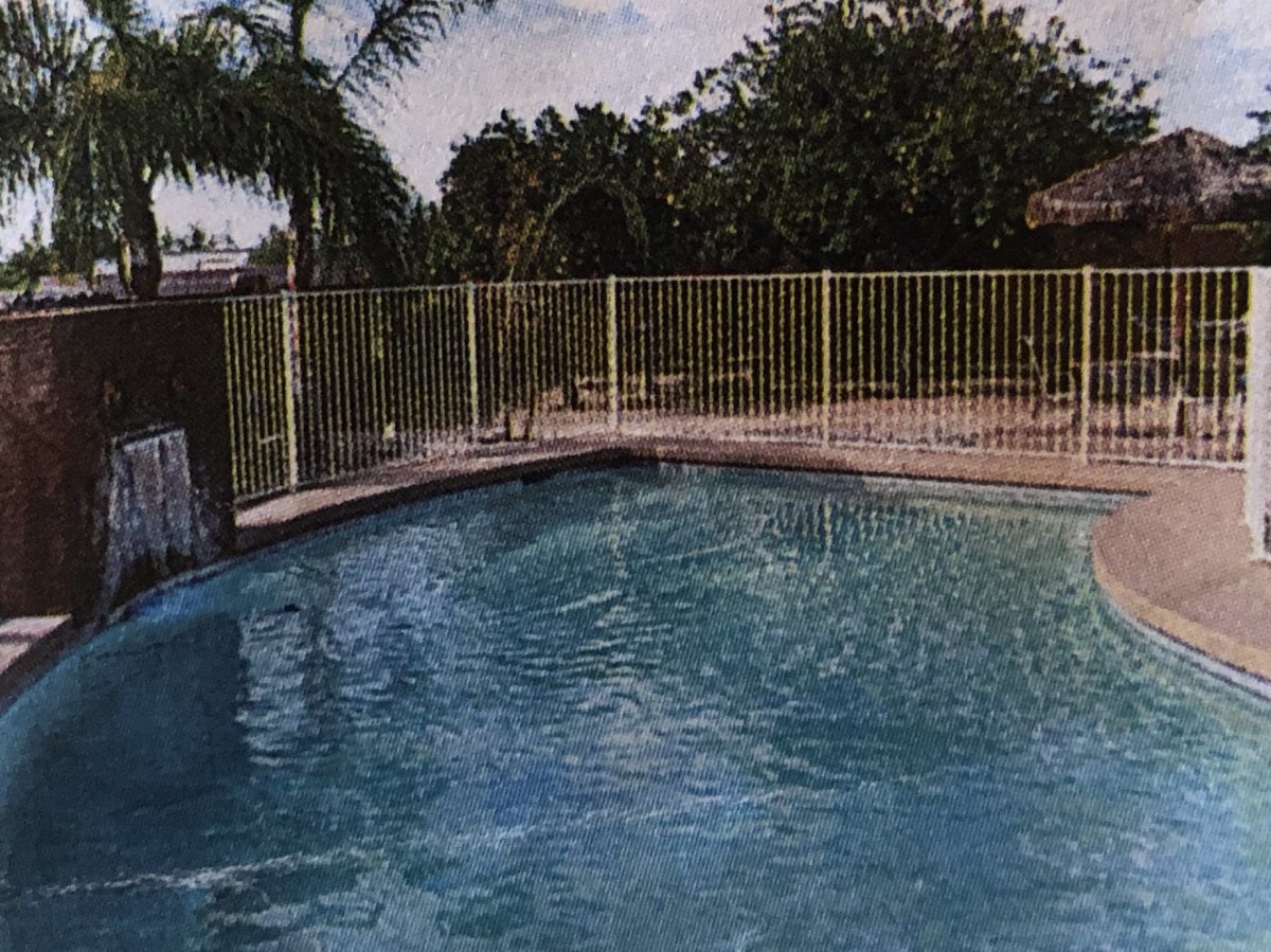 A sunny day by the outdoor swimming pool surrounded by a safety fence and palm trees.
