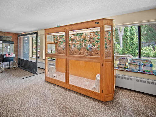 A wooden display case with glass doors showcasing decorative items in a bright interior space.