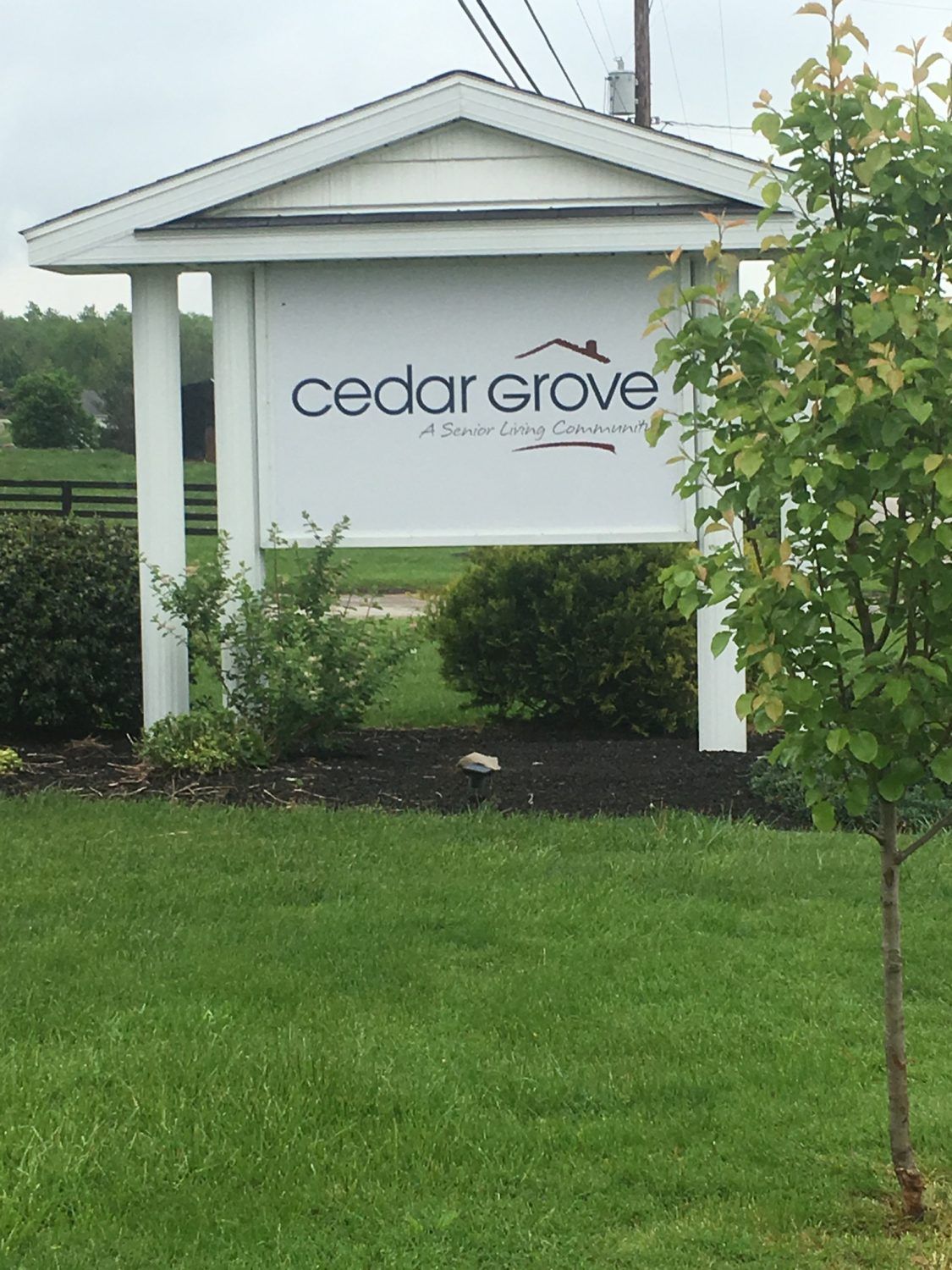 Cedar Grove