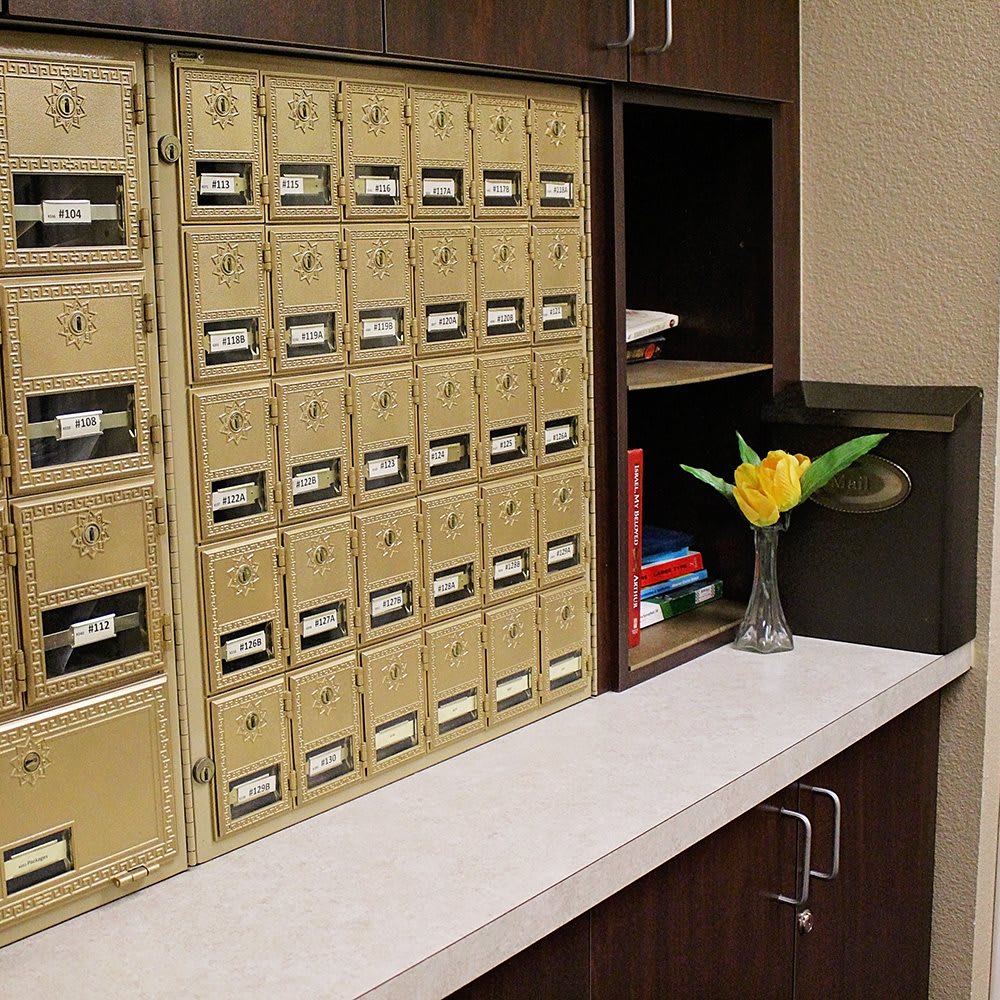 An office space with a row of mailboxes and a countertop displaying a vase with a flower.