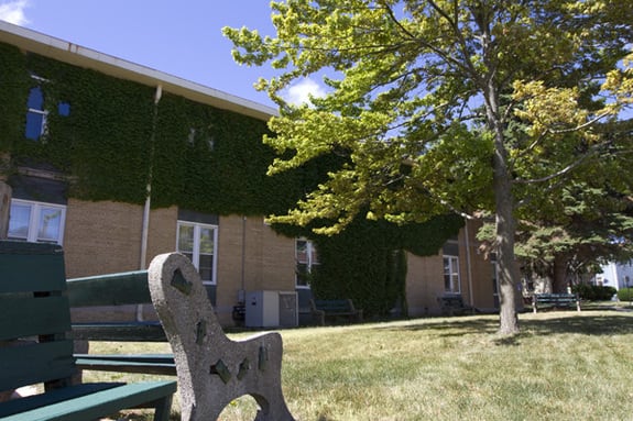 A sunny day view of a building with ivy-covered walls, a nearby tree, and a bench on the grass.