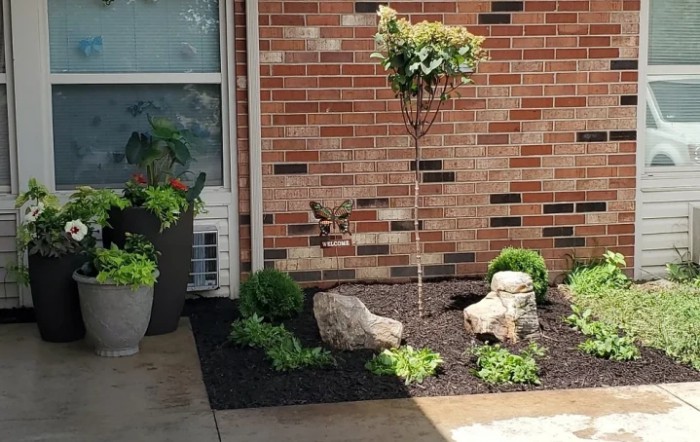 A landscaped garden area featuring a small tree, rocks, and various plants with a brick wall backdrop.