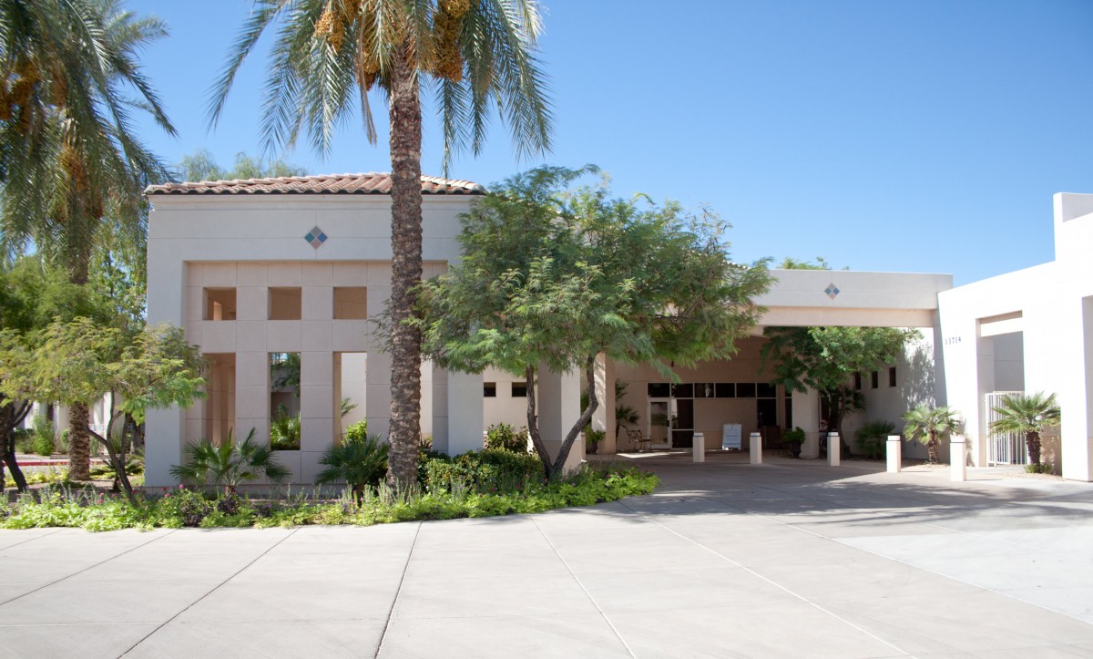 A sunny day at a building entrance surrounded by palm trees and greenery.