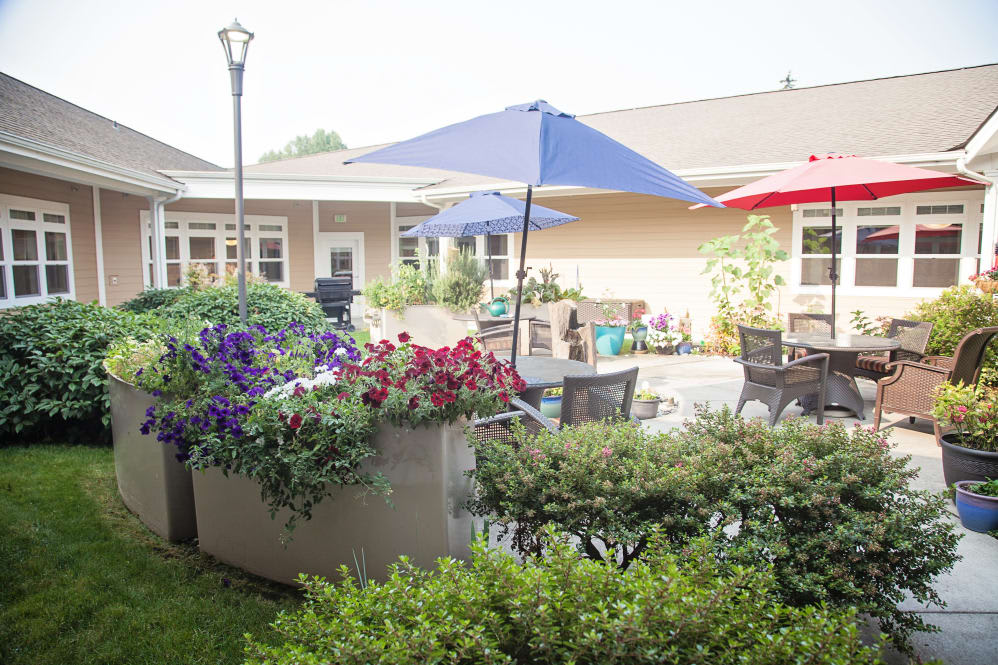A cozy outdoor patio area with colorful umbrellas, surrounded by lush flowers and greenery.