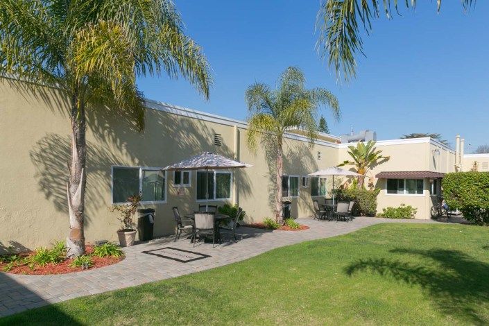 A sunny outdoor patio area with palm trees and seating.