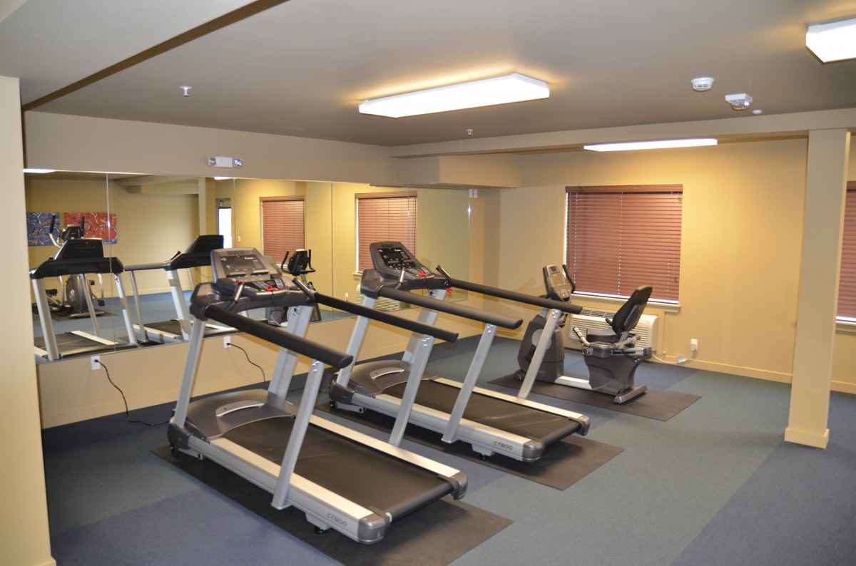 An empty gym with treadmills and exercise equipment.