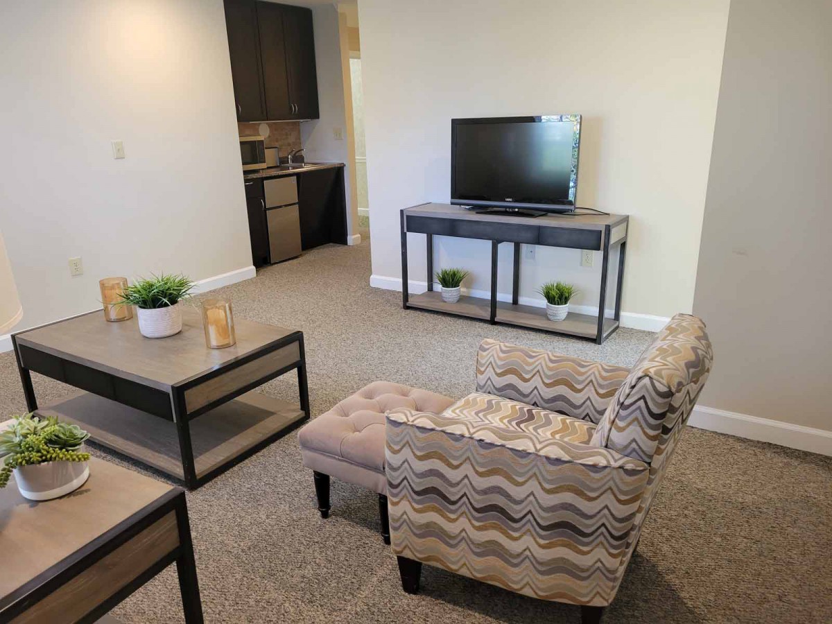A modern living room with a comfortable chair, coffee table, television, and indoor plants.