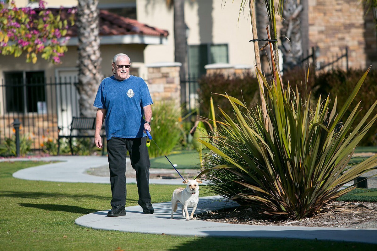 A man walking a dog in a park on a sunny day.