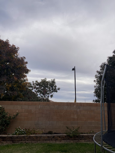A cloudy day featuring trees and a fence, with a utility pole in the distance.