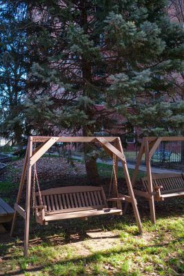 A peaceful outdoor area featuring wooden swings under the shade of tall trees.