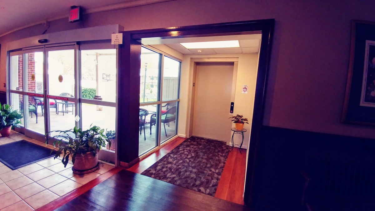 A hallway in an interior setting featuring an elevator, with plants and a patterned carpet near a window.