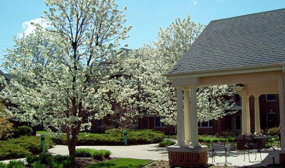 A peaceful garden scene with blooming trees and a gazebo under a clear blue sky.