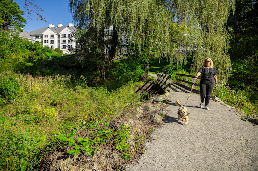 A woman enjoying a sunny day while walking her dog along a beautiful pathway surrounded by greenery.