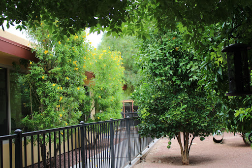 A serene pathway lined with lush greenery and a black fence.