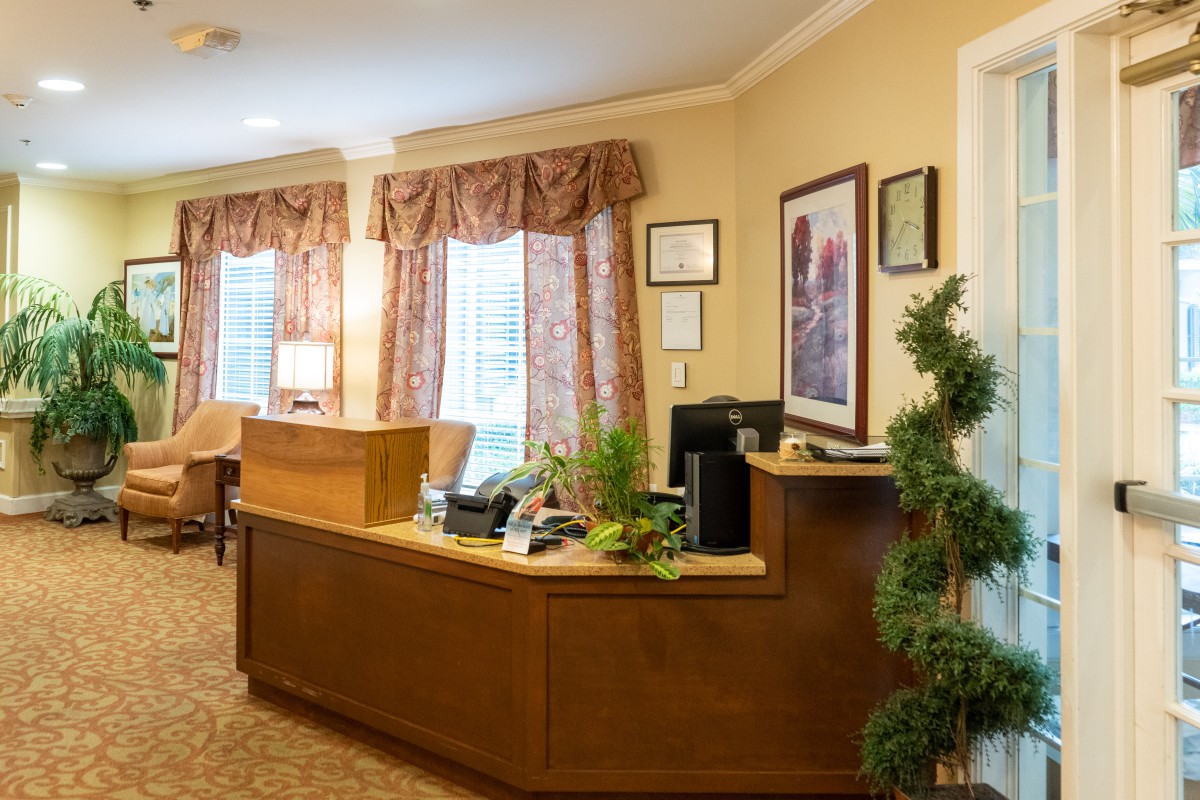 A welcoming office reception area with a wooden desk, decorative plants, and large windows with draped curtains.