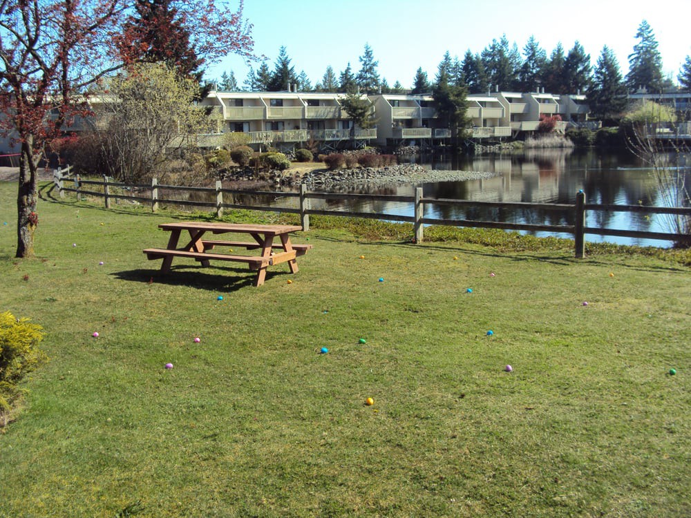 A serene park scene with a picnic table overlooking a lake and trees, with a building in the background.