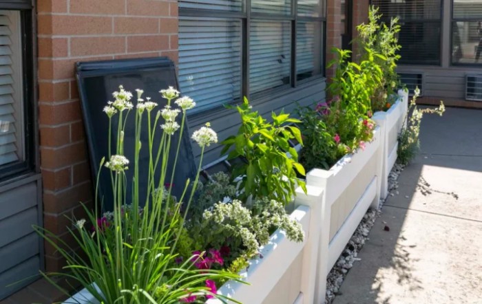A row of planter boxes with various plants and flowers in an urban setting.
