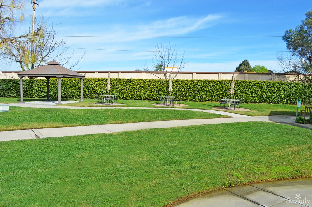 A peaceful park setting with green grass, benches, and a clear blue sky.