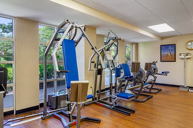 A gym with various exercise machines and equipment lined up for use.