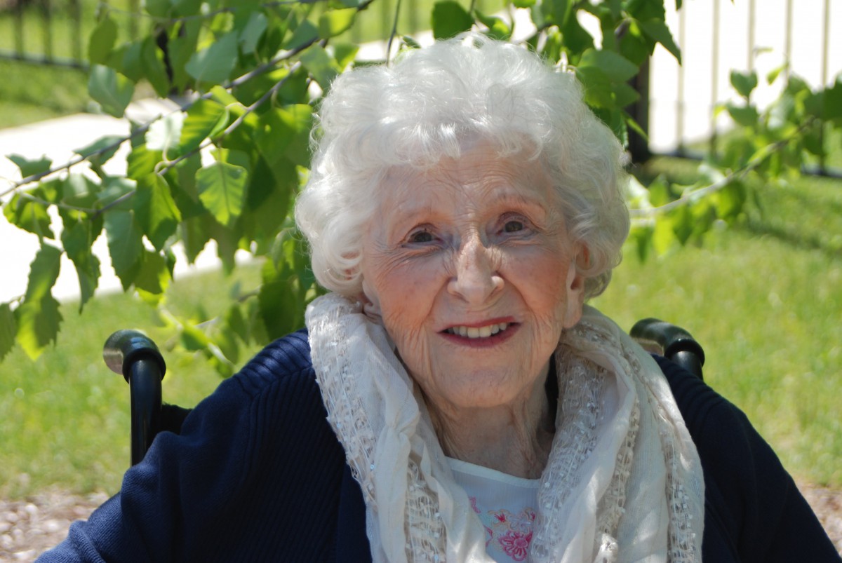 Vicinia Gardens Memory Of Fenton