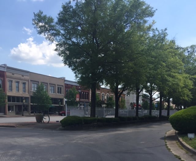 A view of a quiet street lined with trees and buildings.