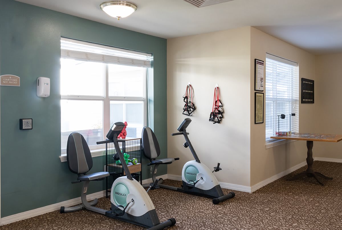 A cozy home gym with two exercise bikes positioned near a bright window.