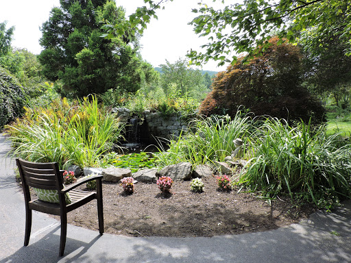 A serene garden view with lush greenery and a cozy bench for relaxation.