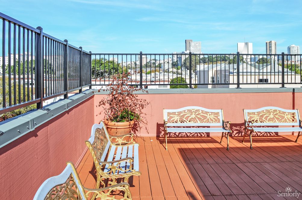 A sunny rooftop patio with decorative benches and potted plants.